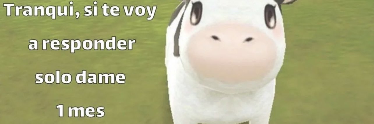 erlinjrodriguez's profile banner image