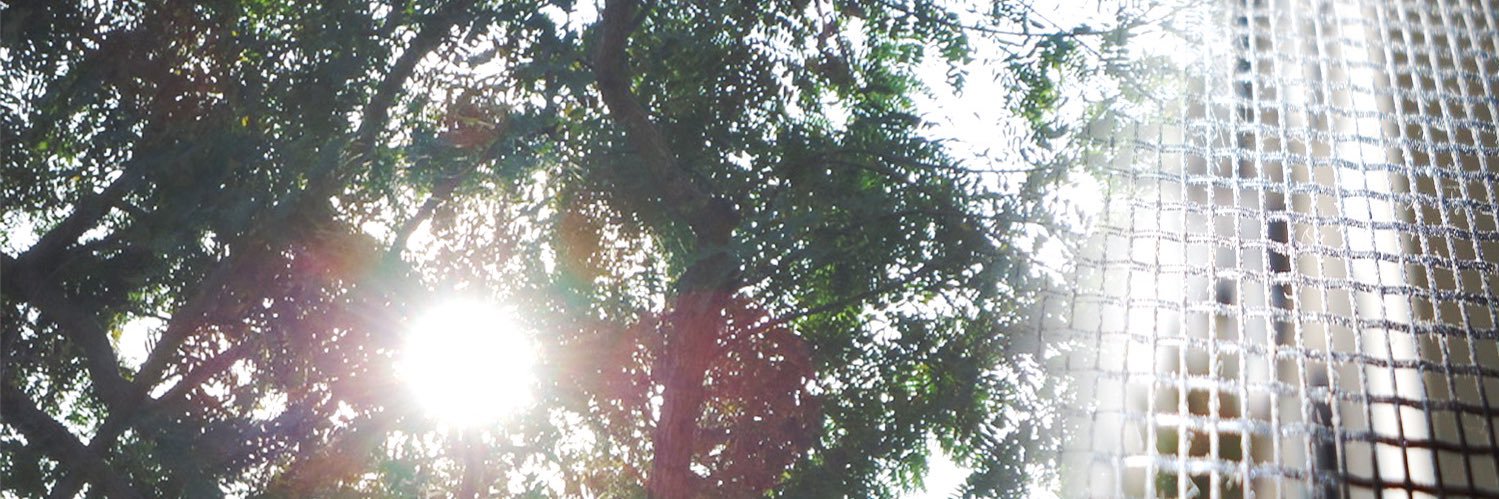 yrs__ago's profile banner image