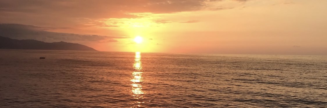 AlialidohaLast's profile banner image