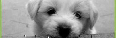 hellobrendasong's profile banner image