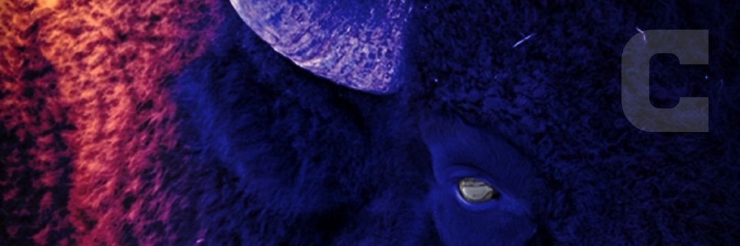 928capers's profile banner image