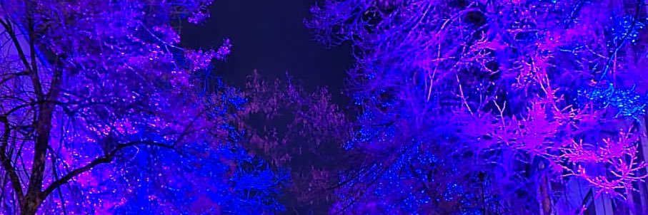 yceliksoy's profile banner image