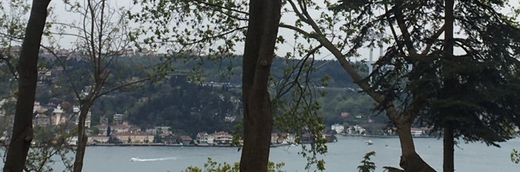 masek16's profile banner image