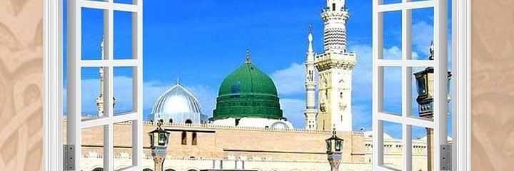 aminzafar's profile banner image