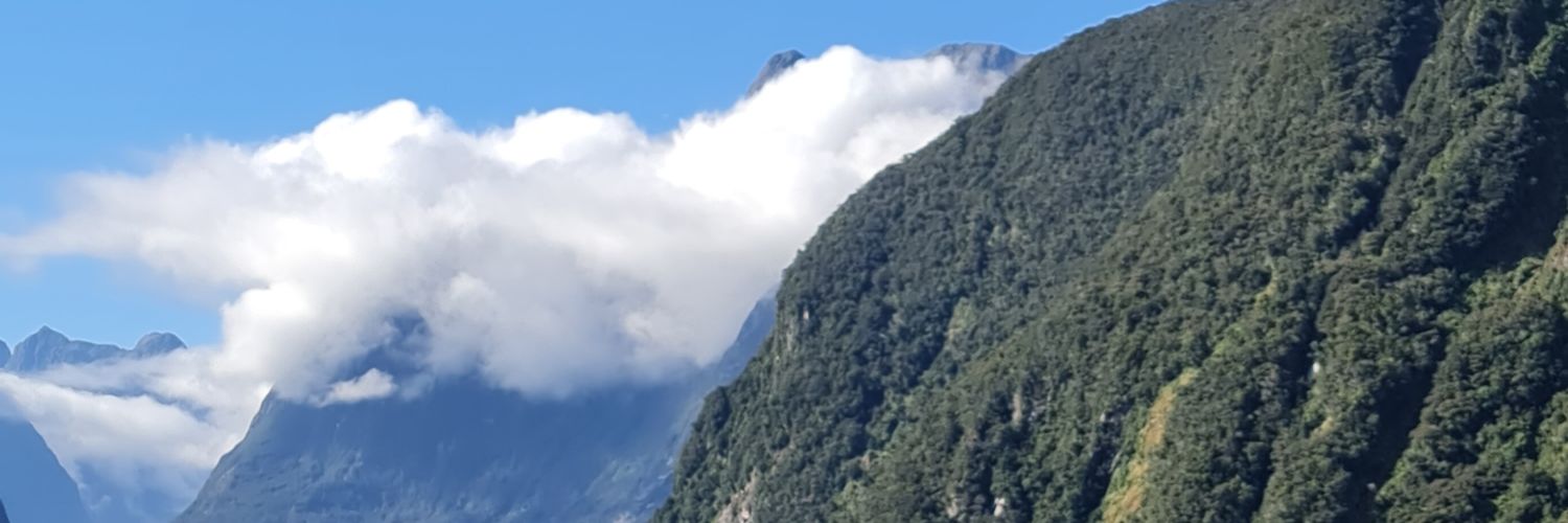 NzHomosapien's profile banner image