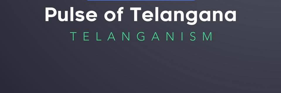 Pulse of Telangana banner