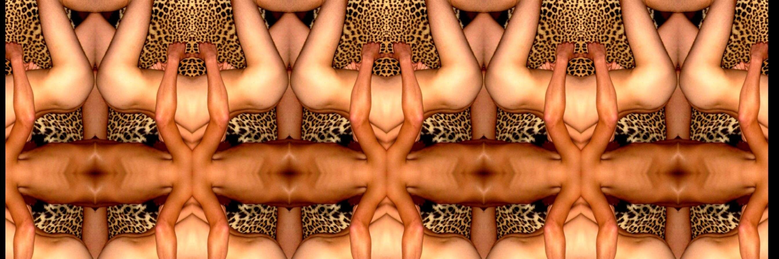 GayArchive's profile banner image