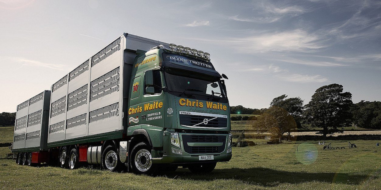 ChrisWaiteTrans's profile banner image