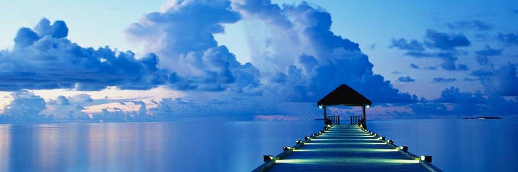rosebleue1964's profile banner image