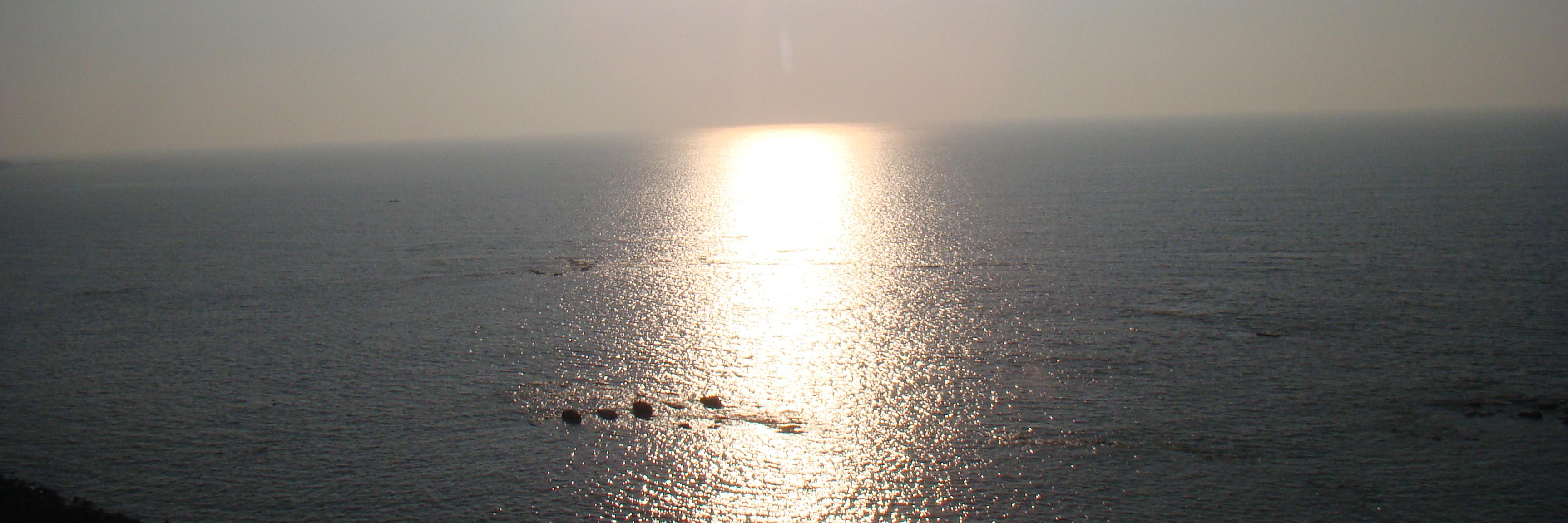 rohin_20's profile banner image