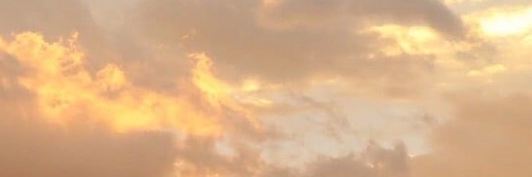 smgnzn's profile banner image