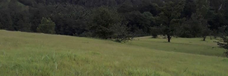 hegdep28's profile banner image