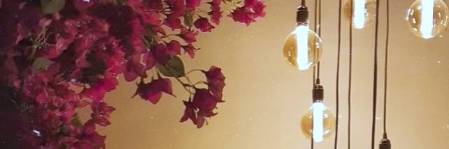 Hanodalover's profile banner image