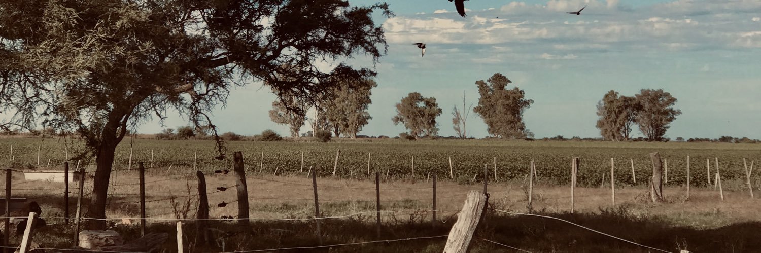Florbertello1's profile banner image