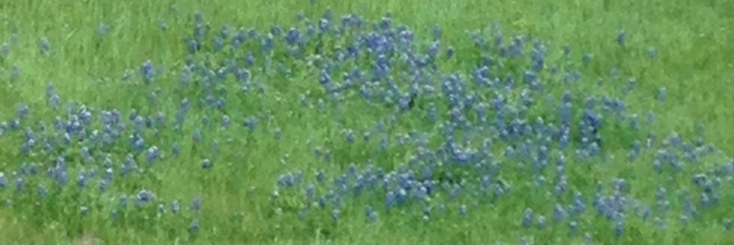 Cece Ockenfels banner