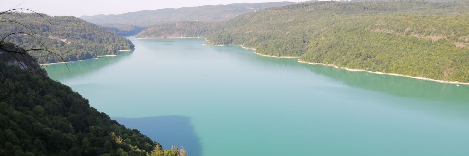 degomic's profile banner image