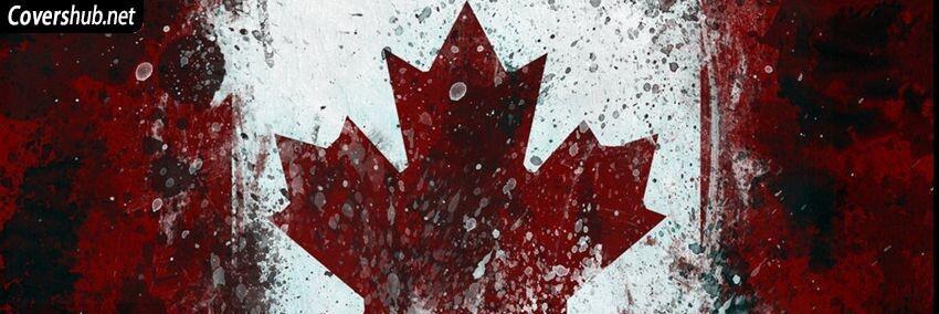 RobTriolo's profile banner image