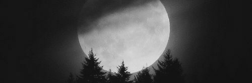 tiaraaawn's profile banner image