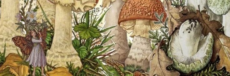 SusanEarlam's profile banner image