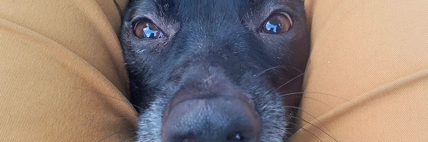 Bergo 📷 📹🚴‍♀️🚩🇧🇷🇵🇸🇮🇹 banner