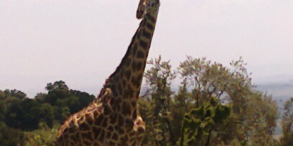 zeinuldin's profile banner image