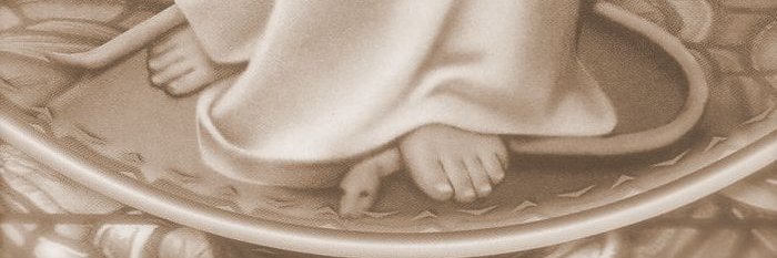 Elon Puto Nazi de Mierda Musk banner