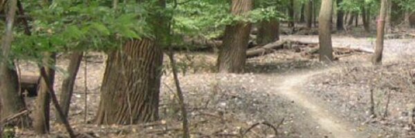 GorcTrails Profile Banner