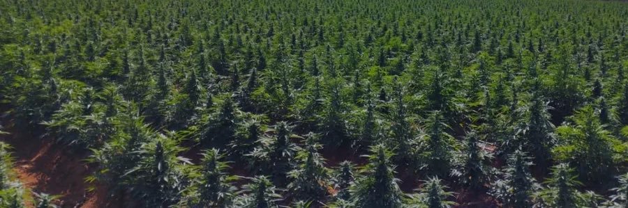 Fabrîcio Souzza banner