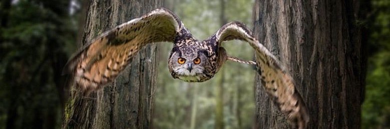 GuzelCekmisim's profile banner image