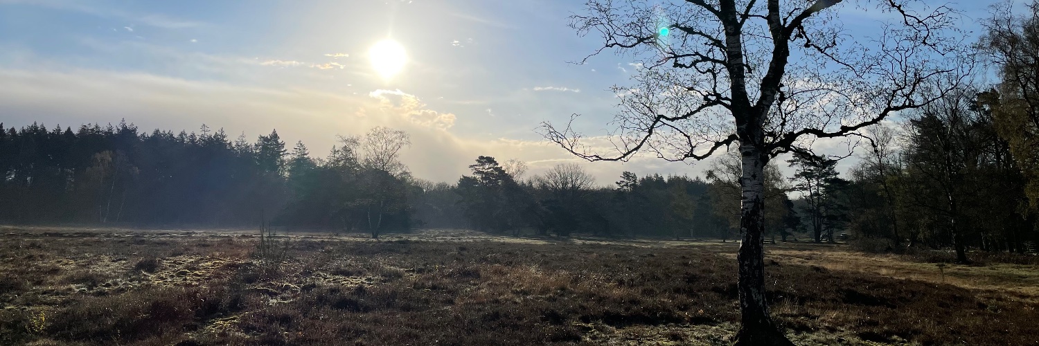 André Haardt banner