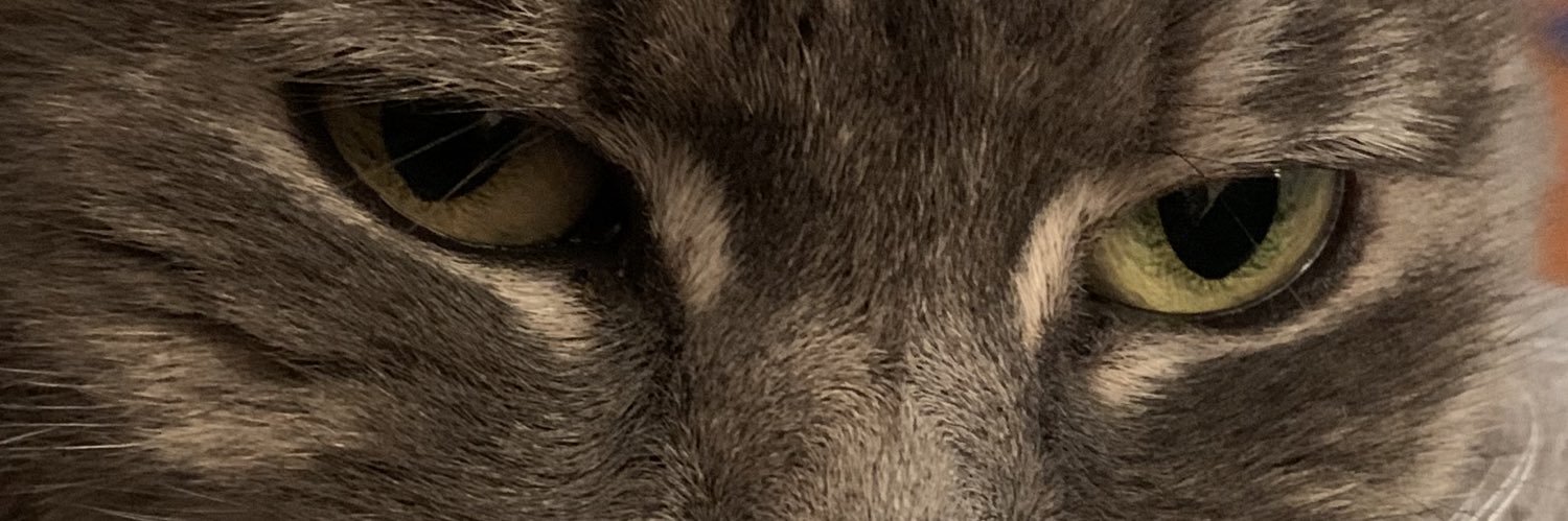 LydiaDuvali's profile banner image
