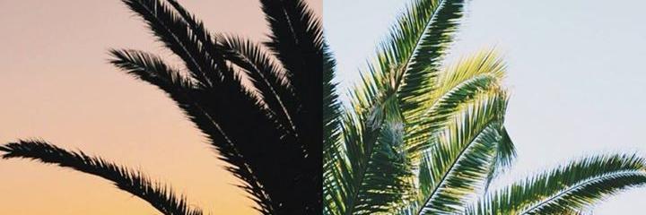 JairCArabe's profile banner image