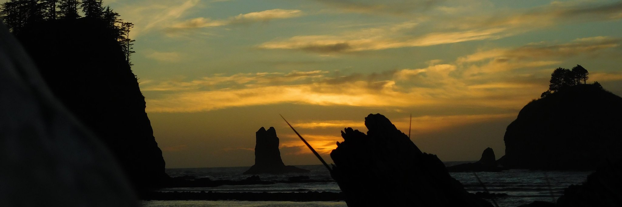 AllisSmith's profile banner image