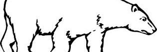 sbearluvr's profile banner image