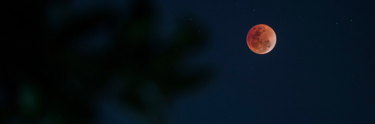 fifawt's profile banner image