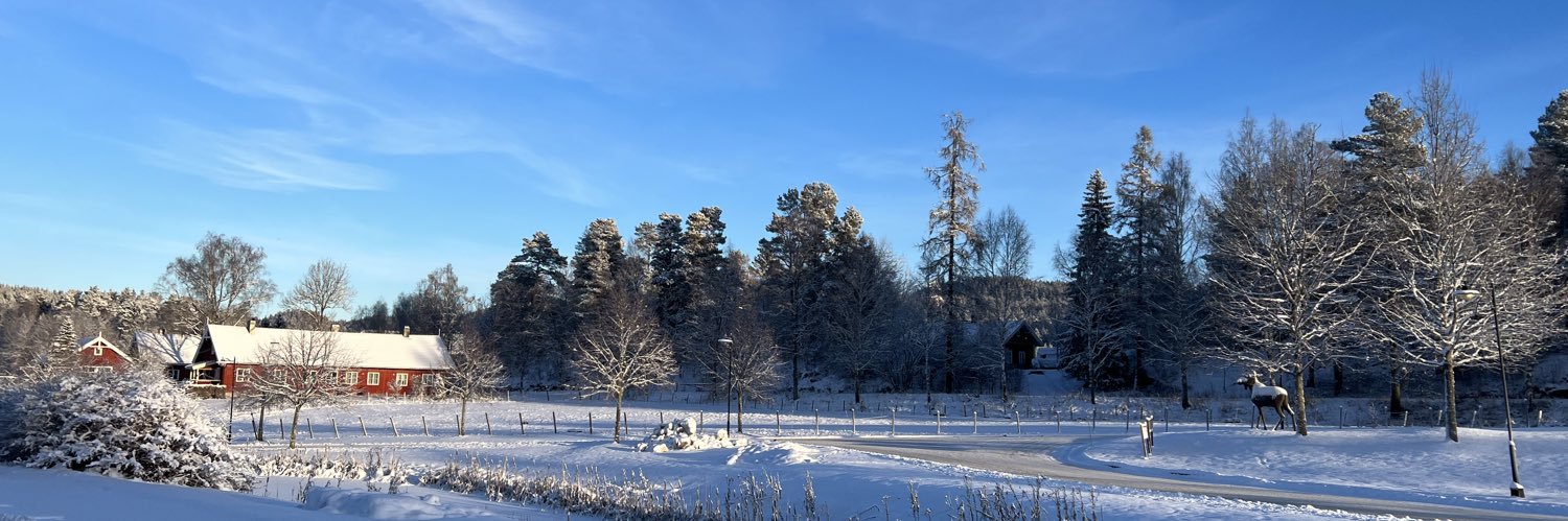 monalm's profile banner image