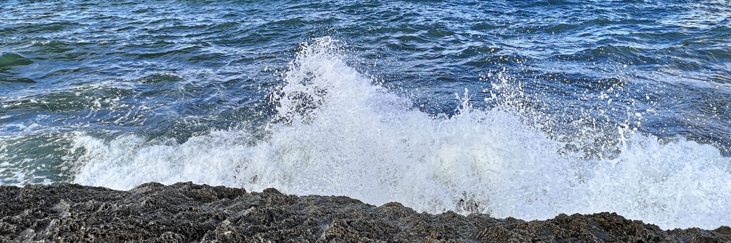 Cristina R. Bareño banner