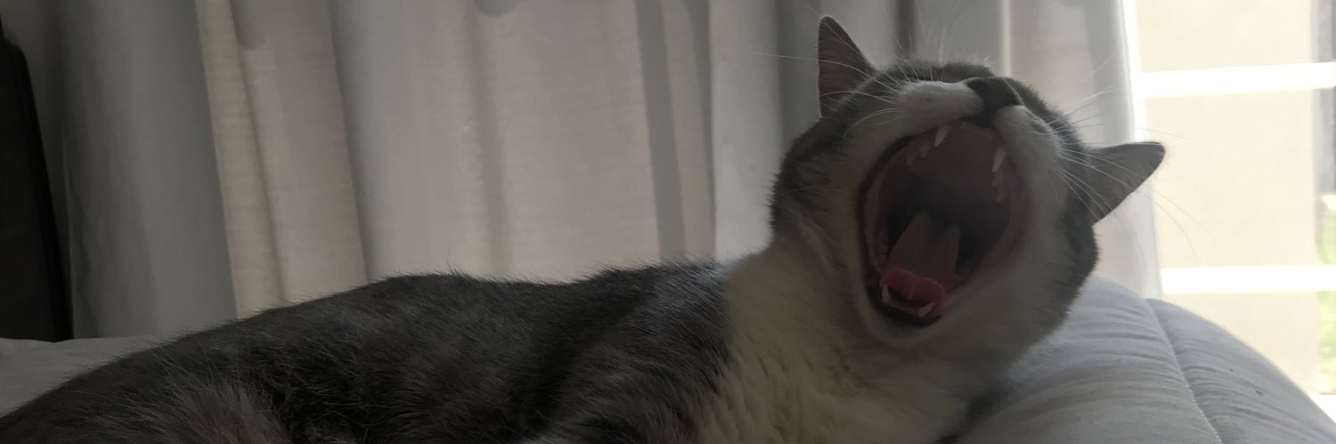 AgusNavaroo's profile banner image