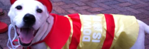 captainofclay's profile banner image