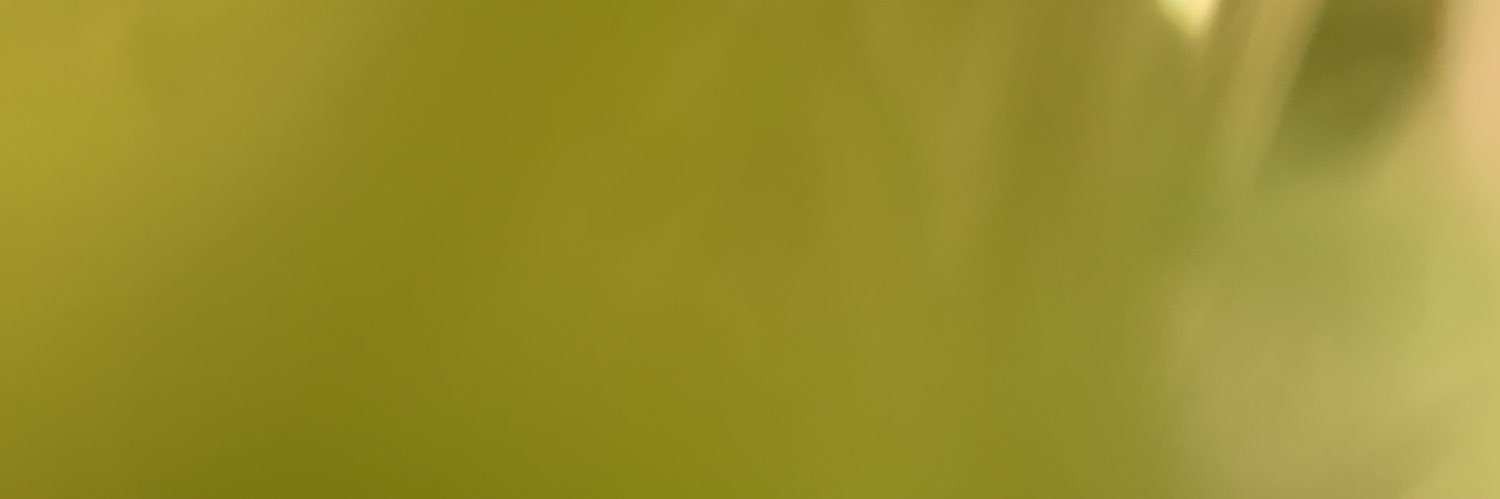 EmMidd292's profile banner image