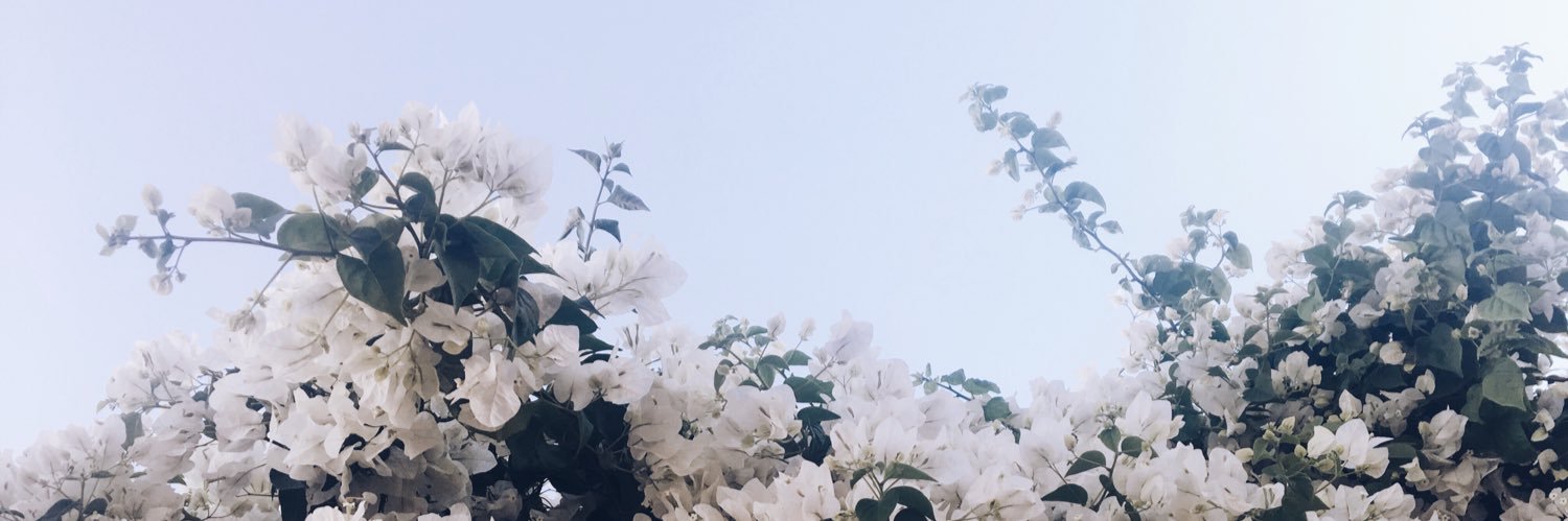 dilara_denizer's profile banner image