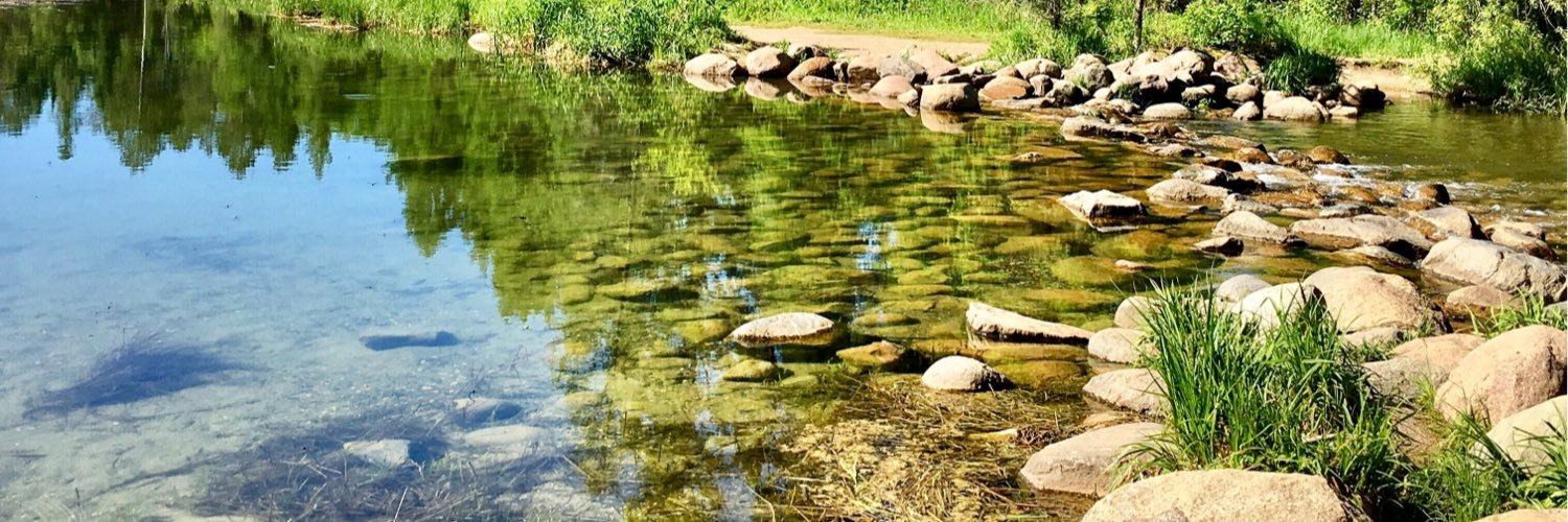 Tracy Caravella, PhD banner