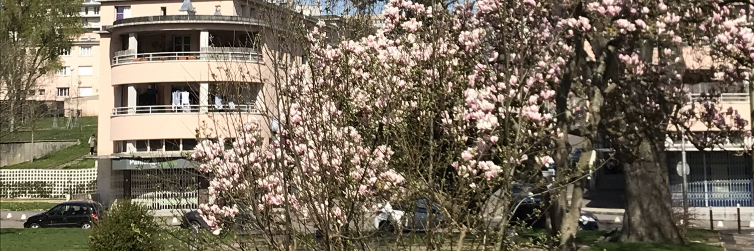 Barbara Gutglas banner