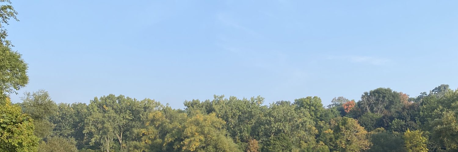 laurisadw's profile banner image