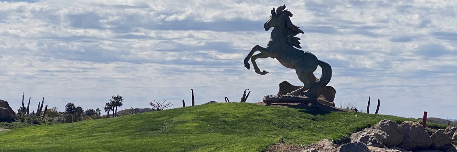 Hanneke Lambert banner