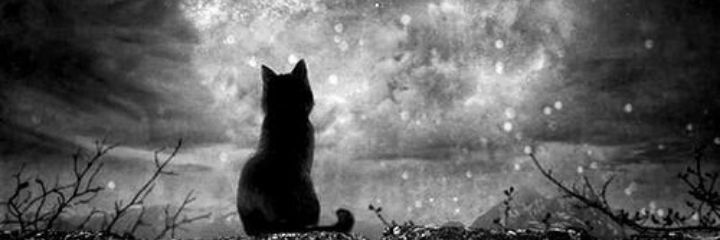 BTuun's profile banner image