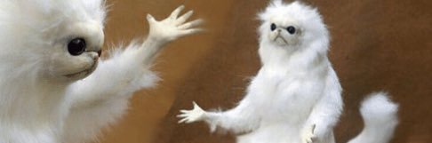 Bárbara Sica banner