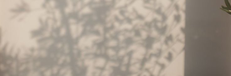 mmlr1234's profile banner image