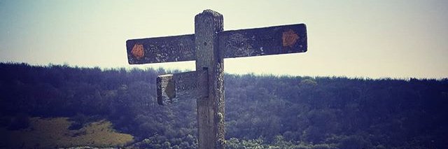 DAMcKenzie1's profile banner image