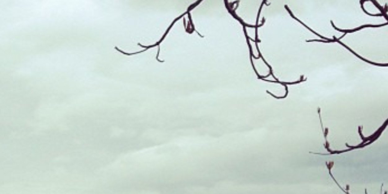 MANALISOZLER's profile banner image
